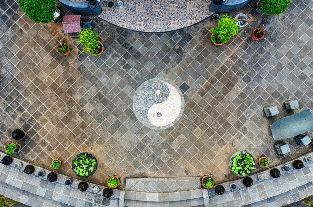 Symbole yin yang dans la nature, acupuncture spatio temporelle dans la médecine chinioise